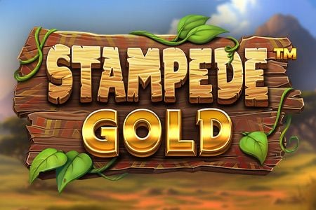 Stampede Gold